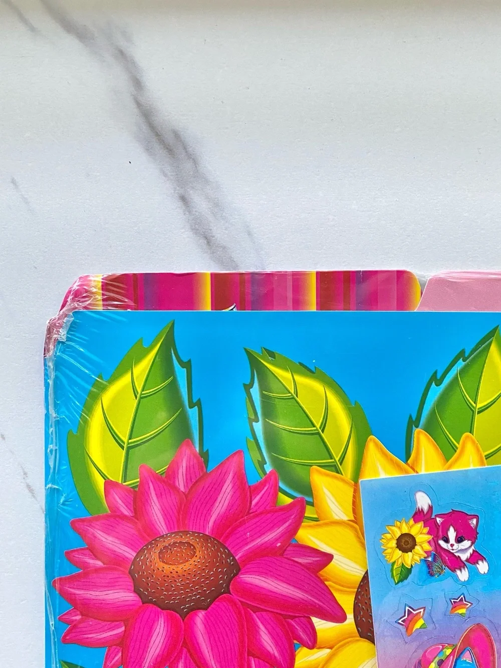 VTG Lisa Frank kittens file folders 4pc set - SIP